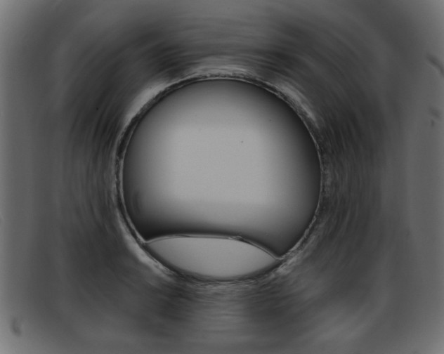 X0000093391038200710111344