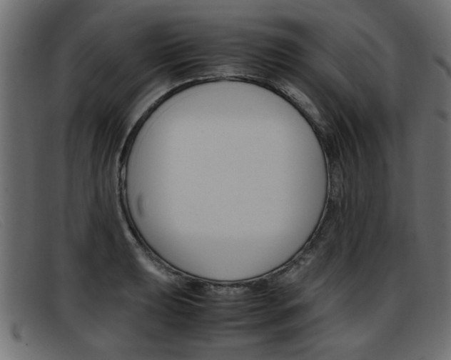 X0000093391039200710111344