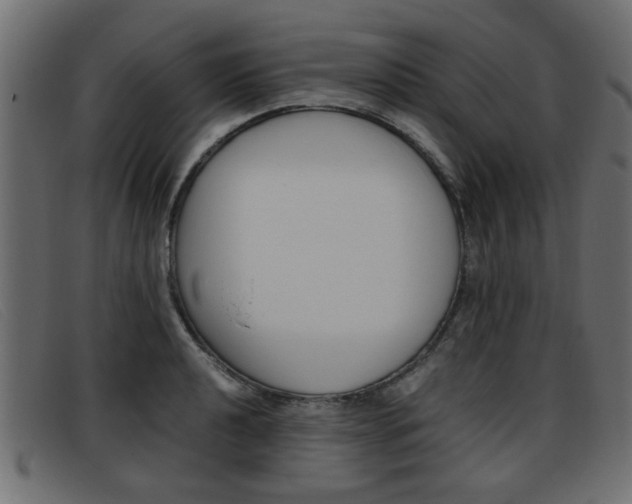 X0000093391040200710111344