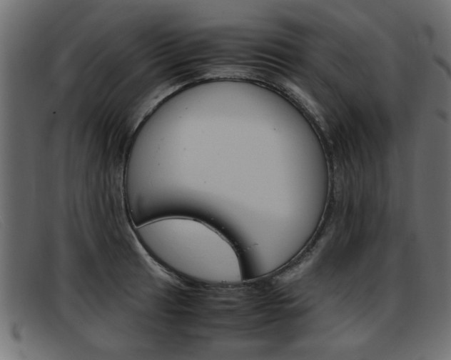 X0000093391041200710111344