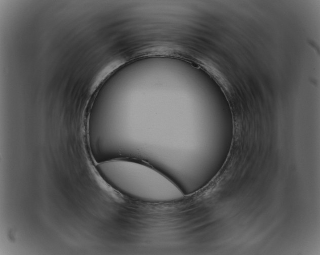 X0000093391042200710111344