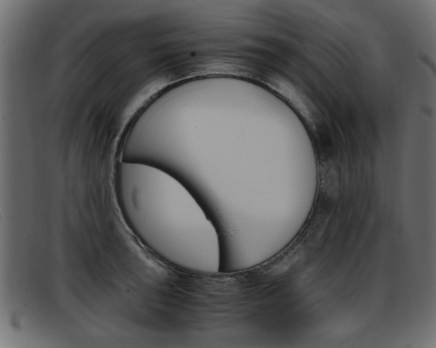 X0000093391043200710111344