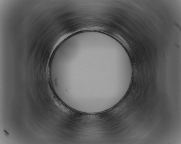 X0000093391044200710111344