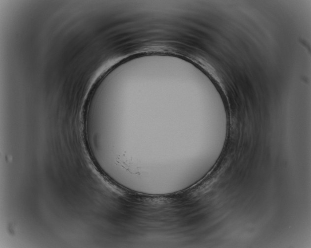 X0000093391045200710111344