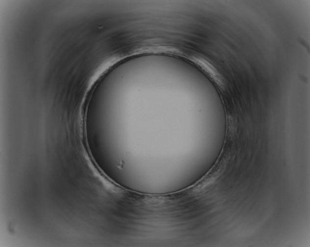 X0000093391046200710111344