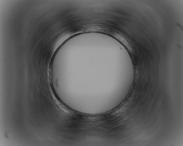 X0000093391047200710111344
