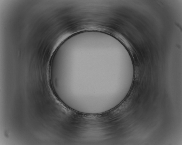 X0000093391048200710111344