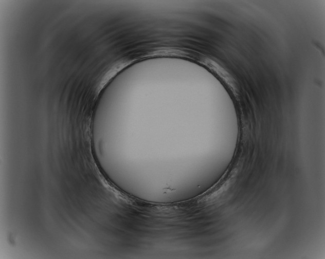 X0000093391049200710111344