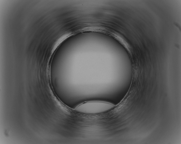 X0000093391050200710111344
