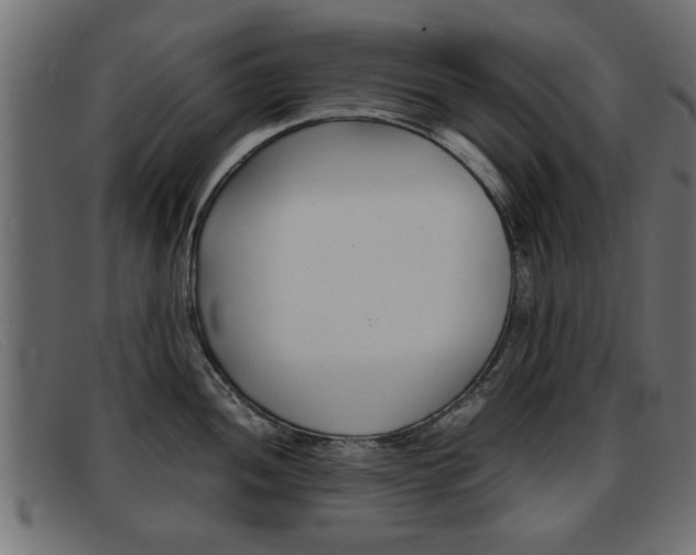X0000093391052200710111344