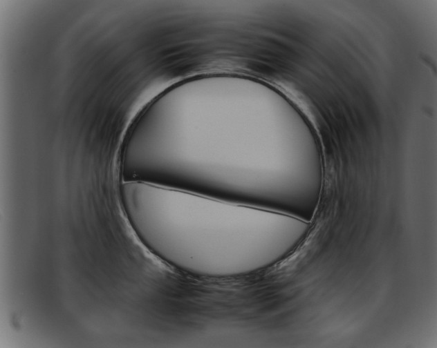 X0000093391053200710111344