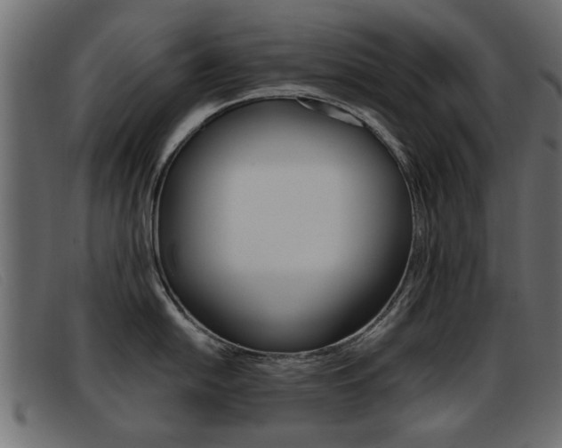 X0000093391054200710111344