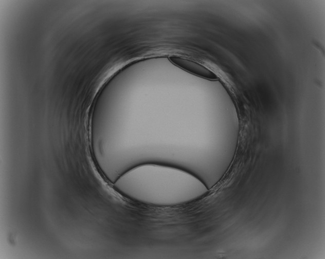 X0000093391055200710111344