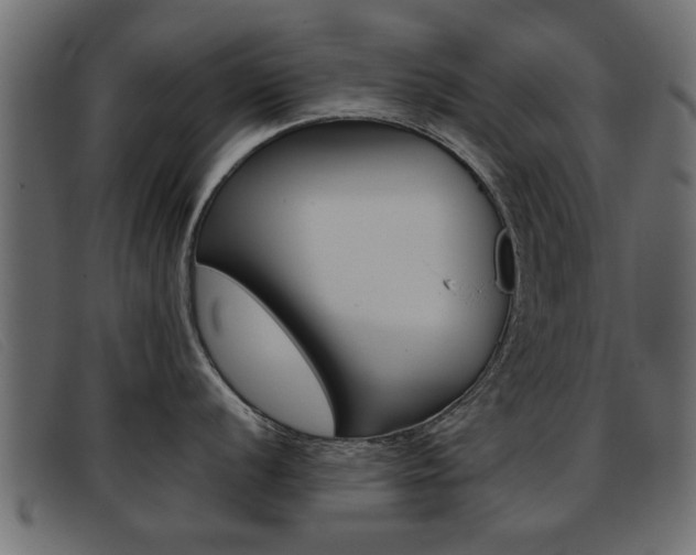 X0000093391056200710111344