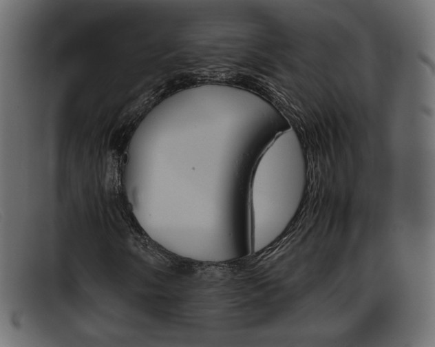 X0000093391058200710111344