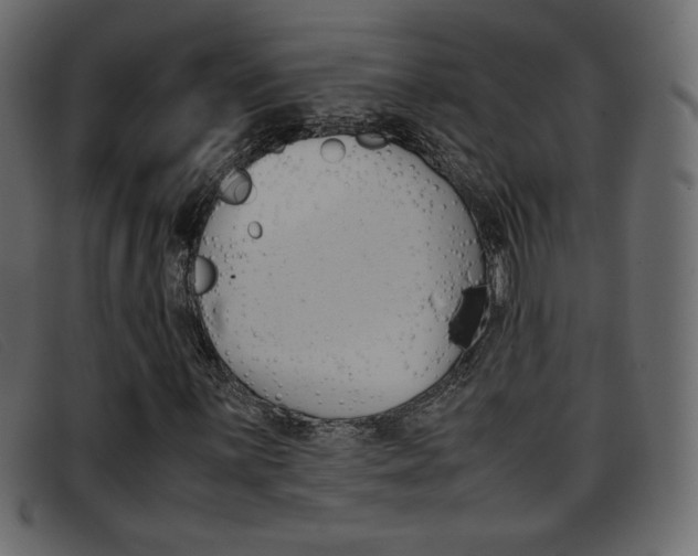 X0000093391059200710111344