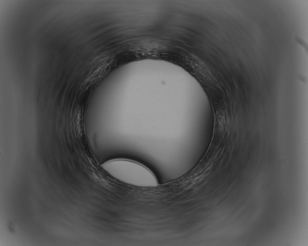 X0000093391060200710111344