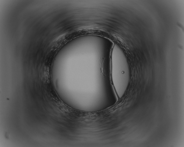 X0000093391062200710111344