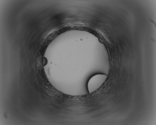 X0000093391063200710111344