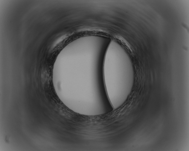 X0000093391064200710111343