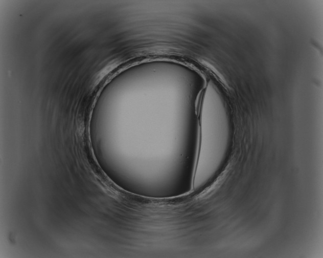 X0000093391065200710111343