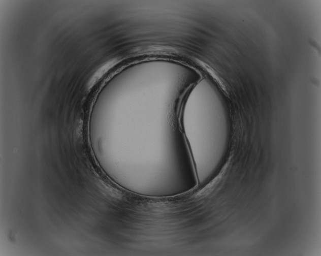 X0000093391066200710111343