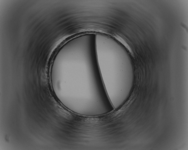 X0000093391068200710111343