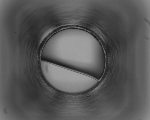 X0000093391069200710111343
