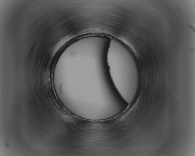 X0000093391070200710111343