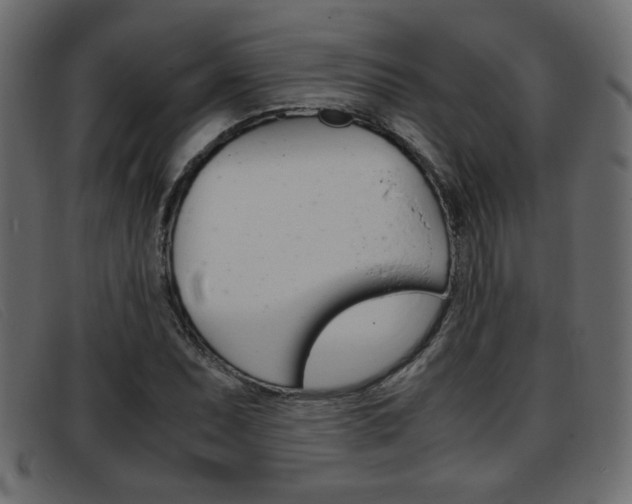 X0000093391071200710111343