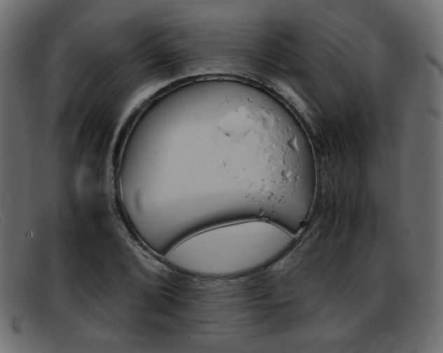 X0000093391072200710111343