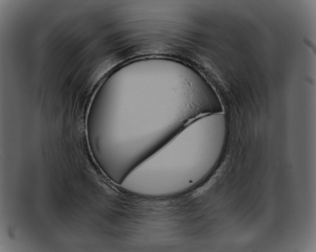 X0000093391073200710111343