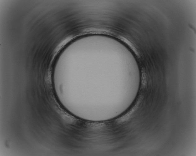 X0000093391074200710111343
