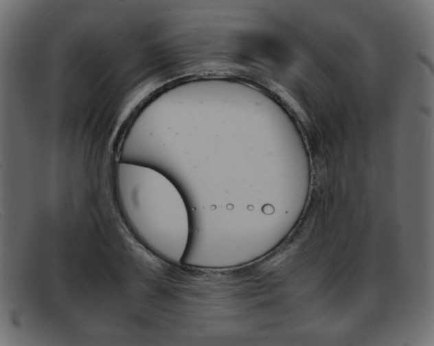 X0000093391075200710111343