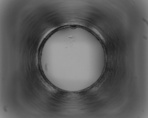 X0000093391076200710111343