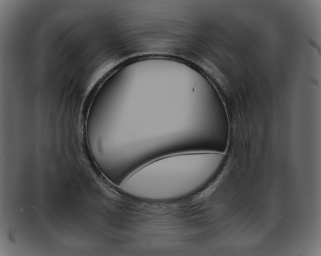 X0000093391077200710111343