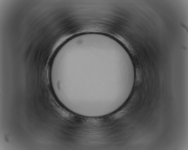 X0000093391078200710111343