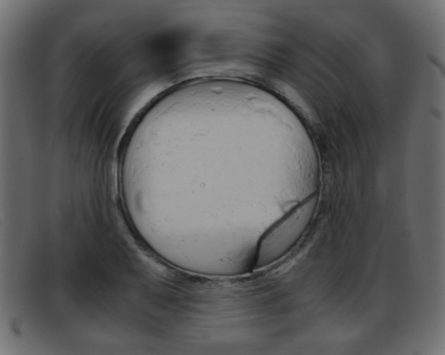 X0000093391079200710111343