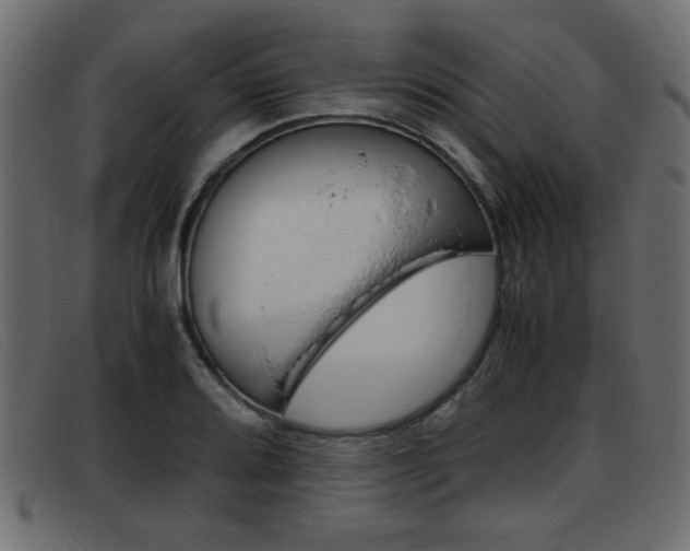X0000093391080200710111343