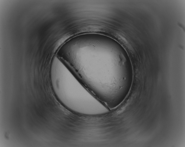 X0000093391081200710111343