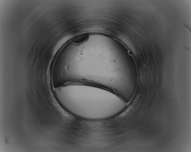 X0000093391082200710111343