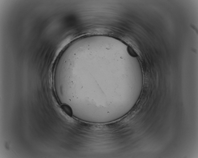 X0000093391083200710111343