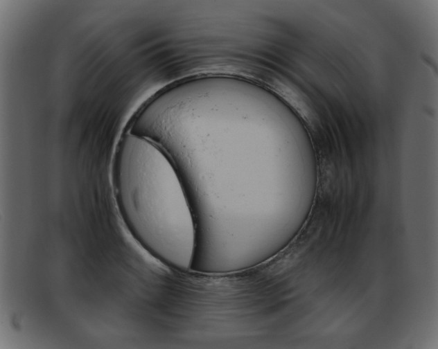 X0000093391084200710111343