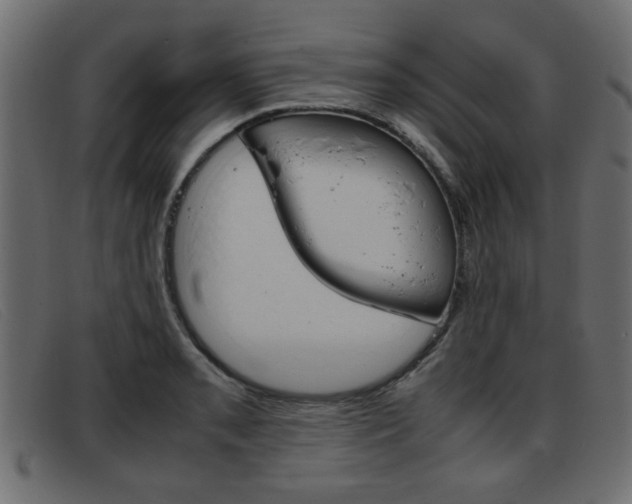 X0000093391085200710111343
