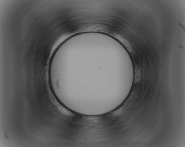 X0000093391086200710111343