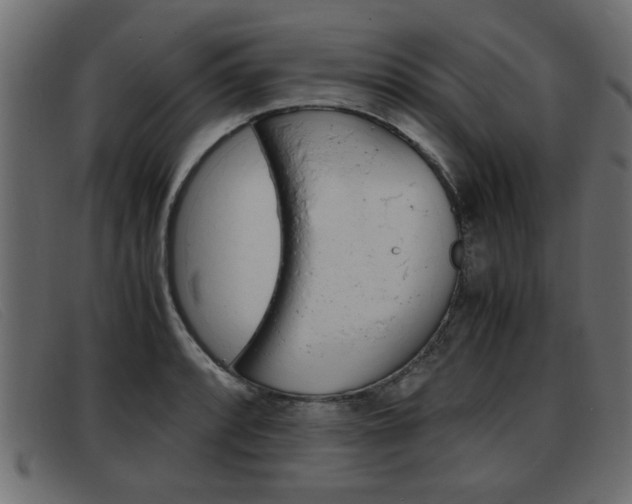 X0000093391088200710111343