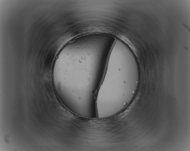 X0000093391089200710111343
