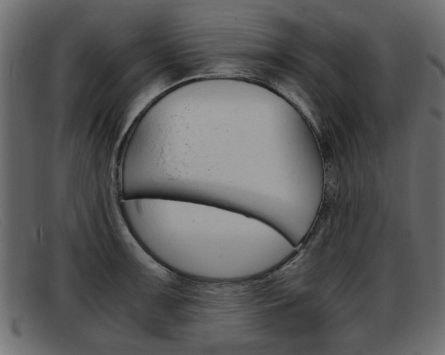 X0000093391091200710111343