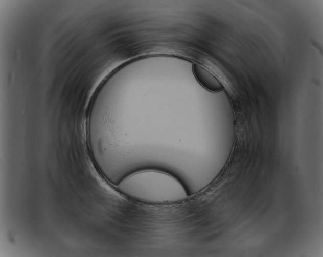 X0000093391092200710111343