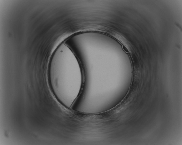 X0000093391093200710111343